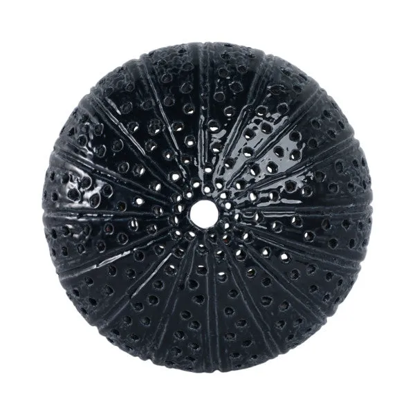 10" Sea Urchin Object Reactive Finish, Blue