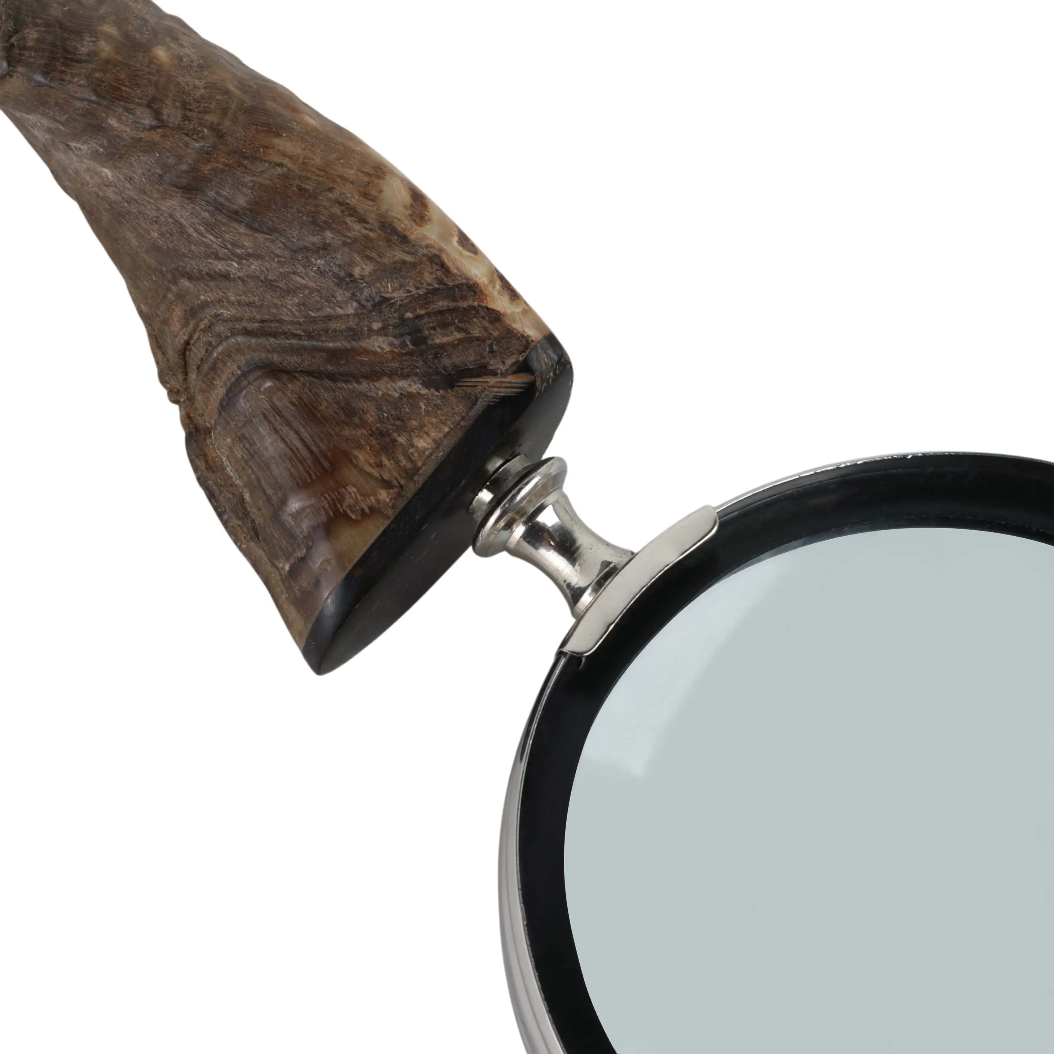 12" Crassus Horn Magnifying Glass