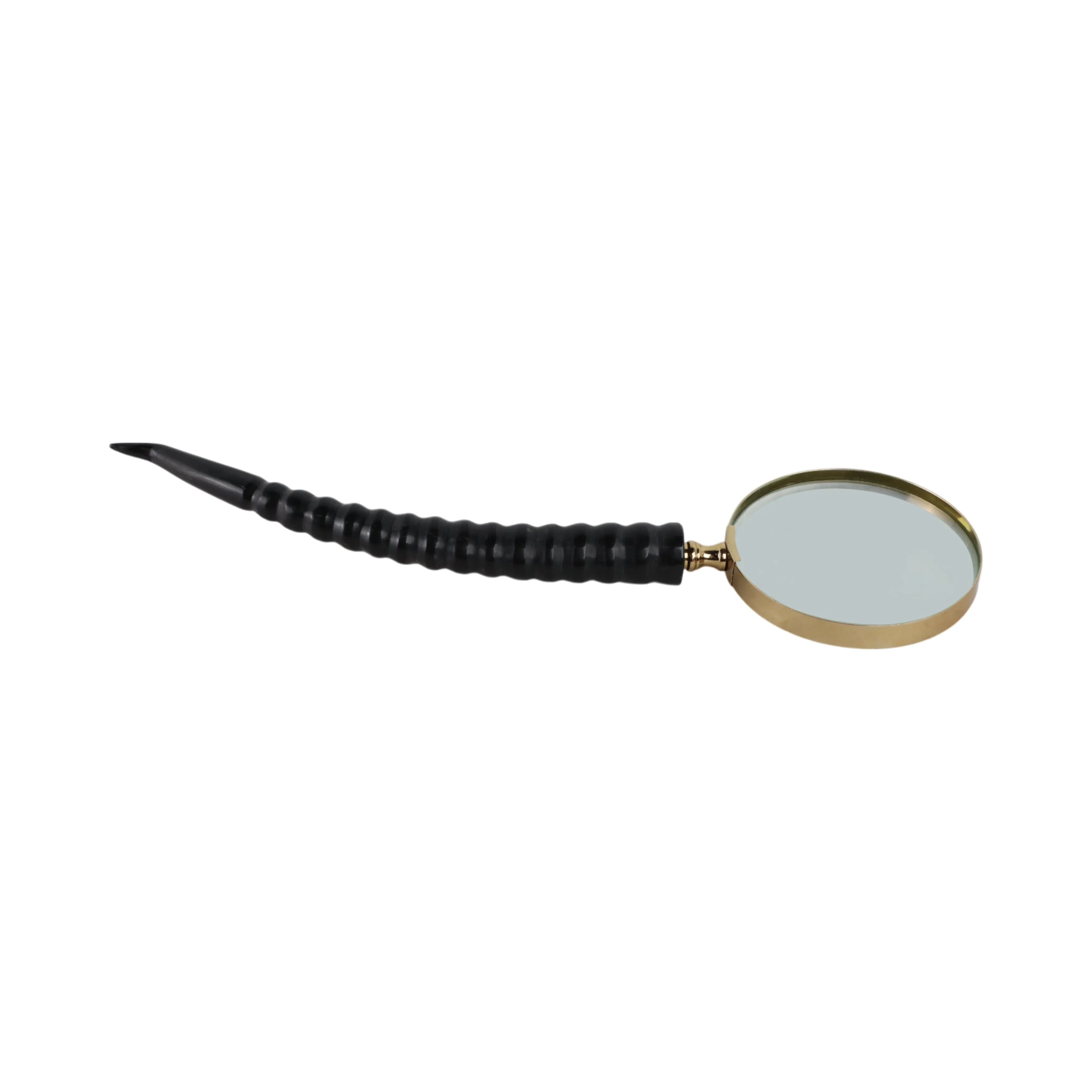 12" Lennon Horn Magnifying Glass