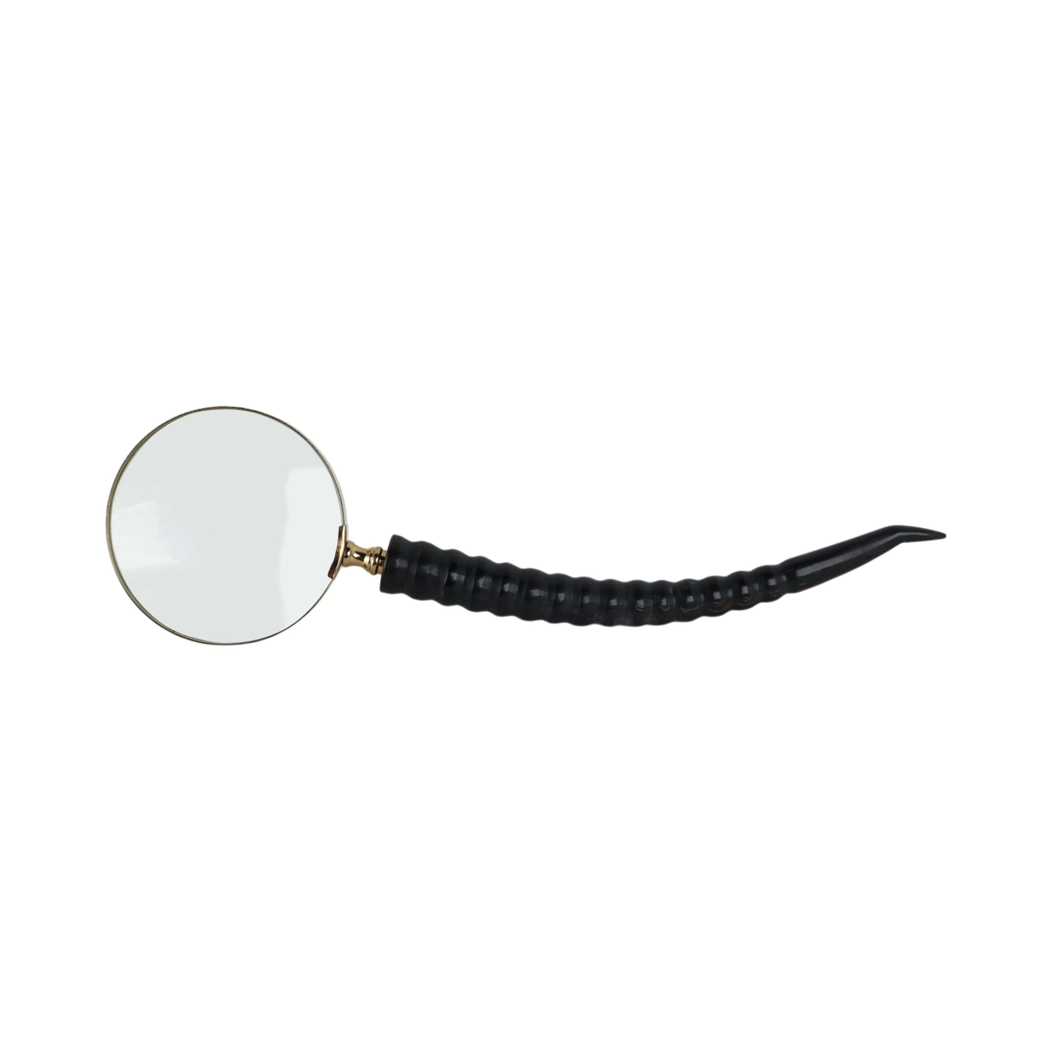12" Lennon Horn Magnifying Glass