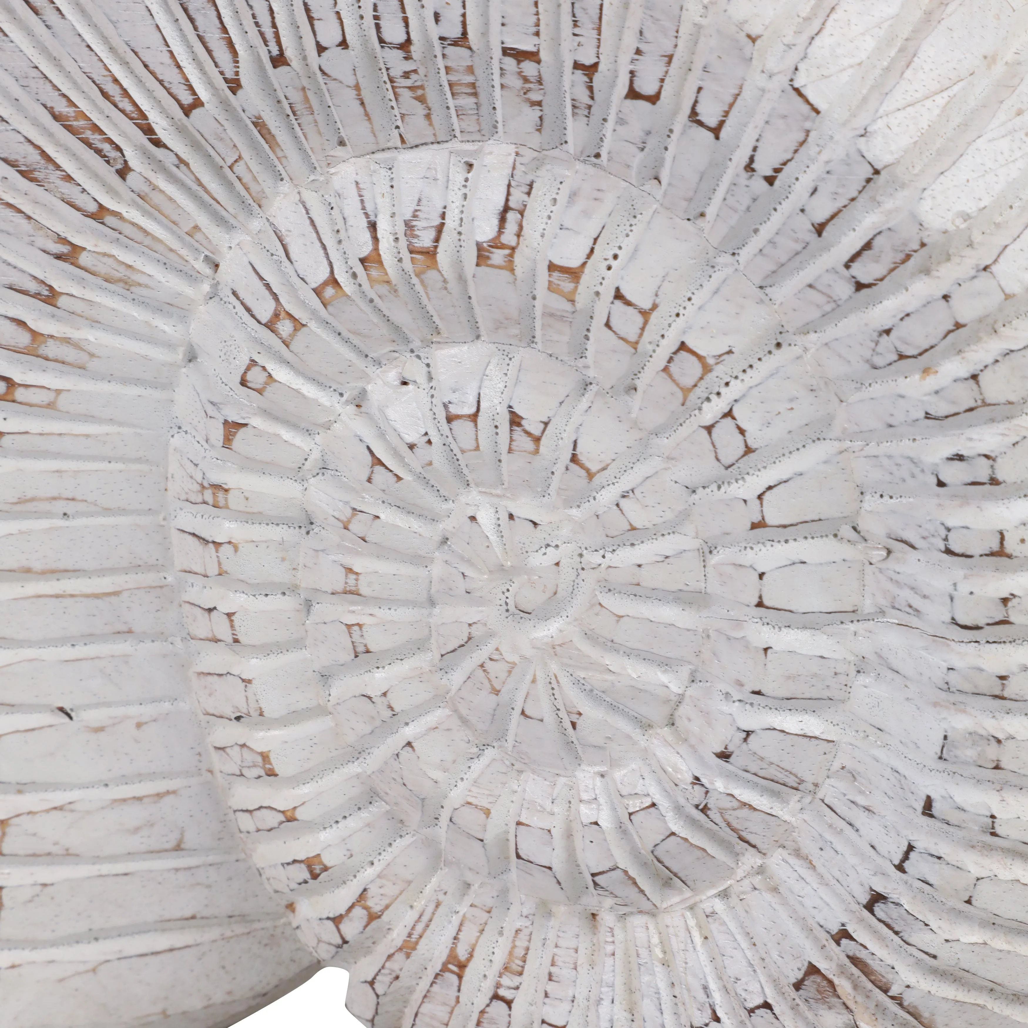 12" Wooden Snail Decor, Wht