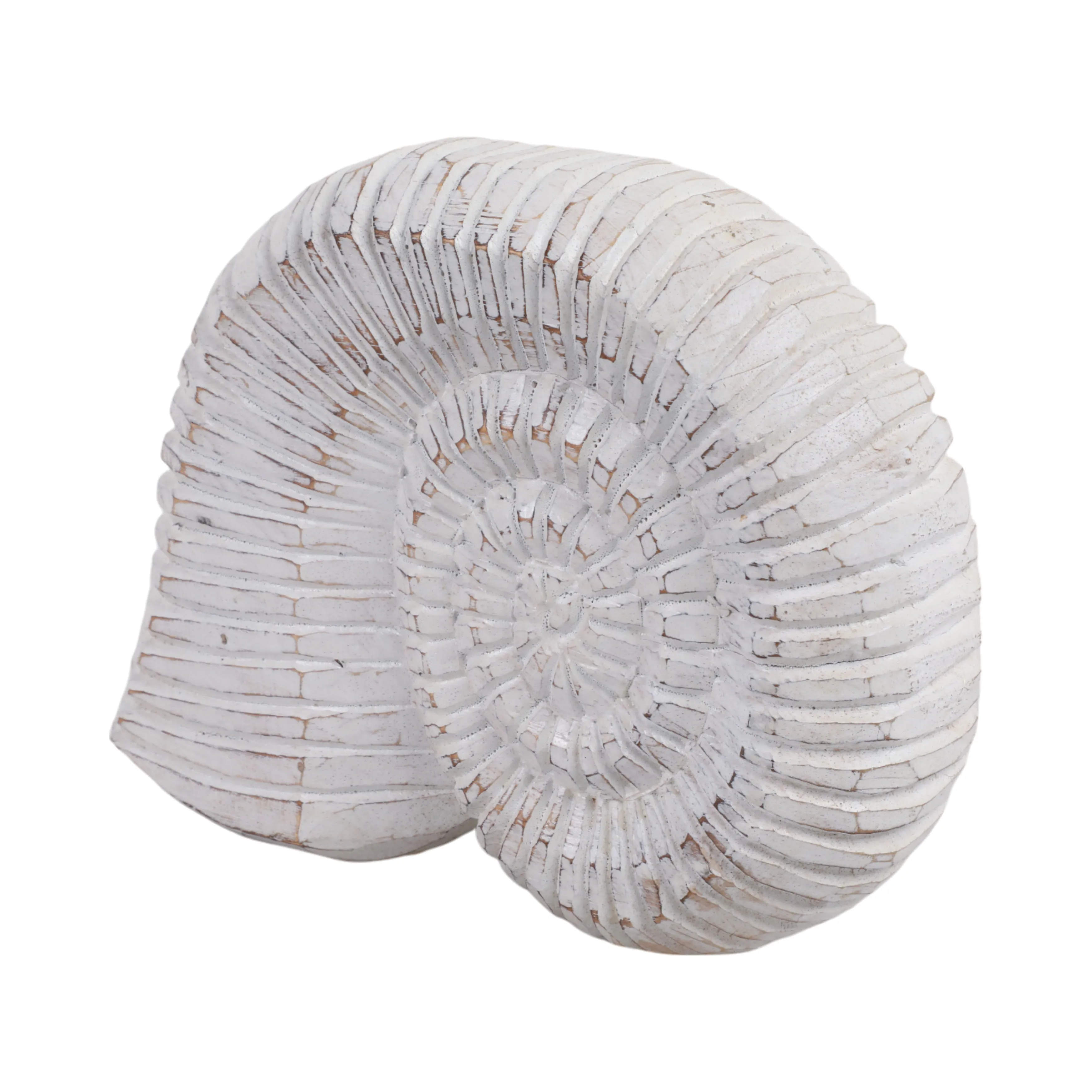 12" Wooden Snail Decor, Wht