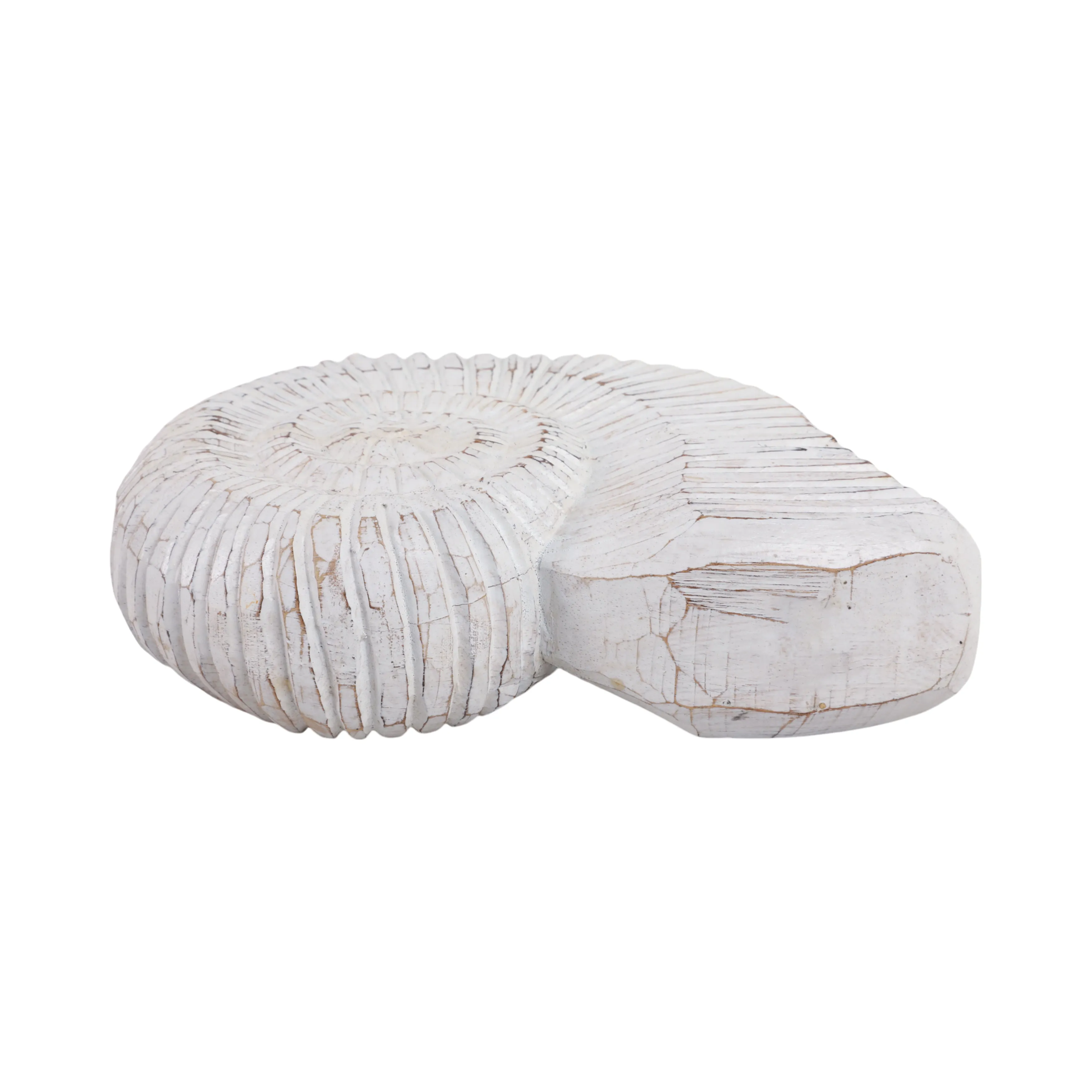 12" Wooden Snail Decor, Wht