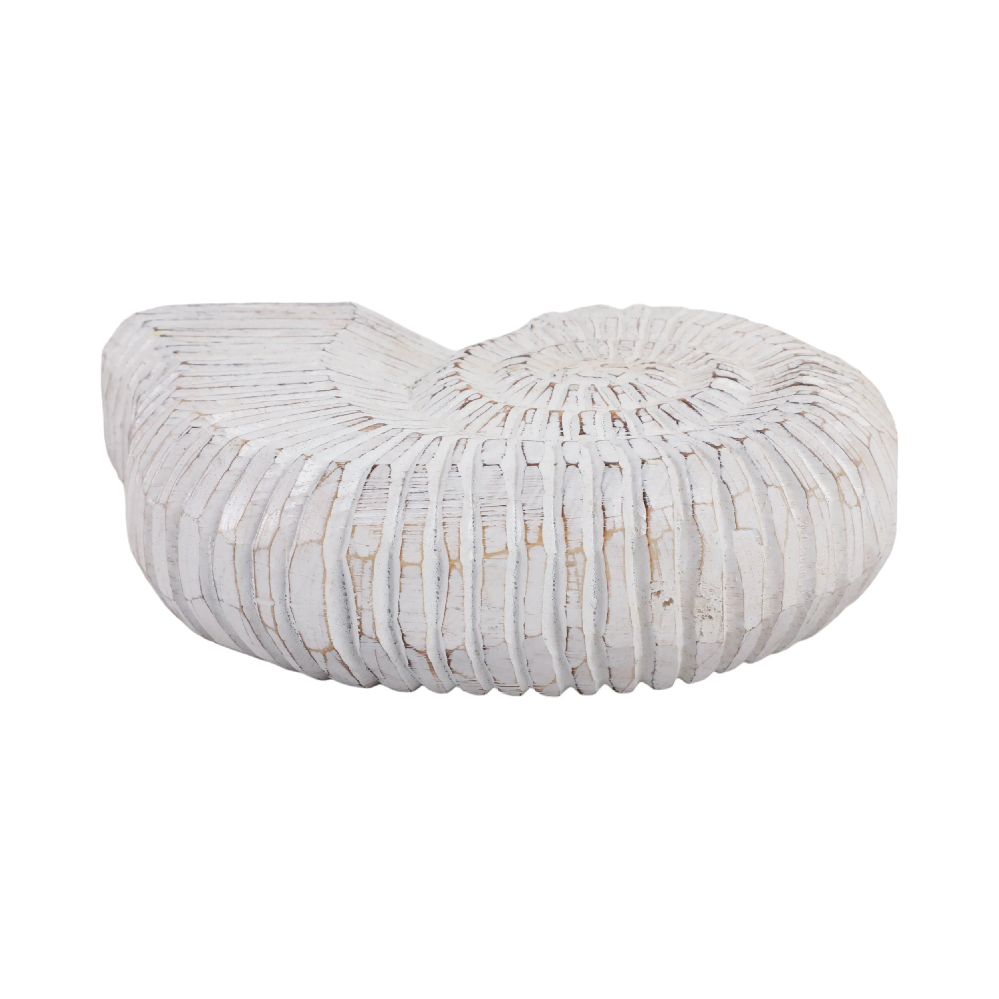 12" Wooden Snail Decor, Wht