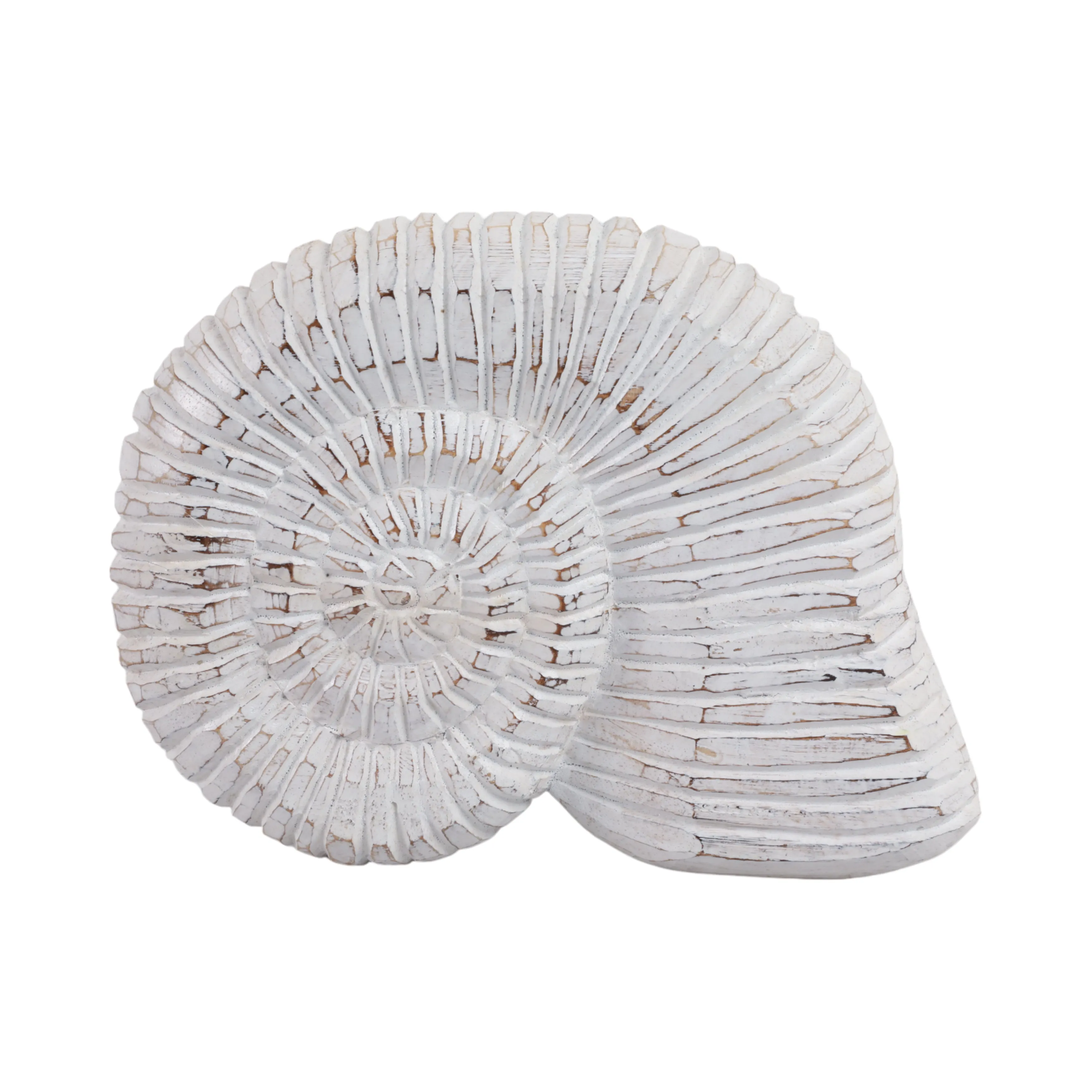 12" Wooden Snail Decor, Wht