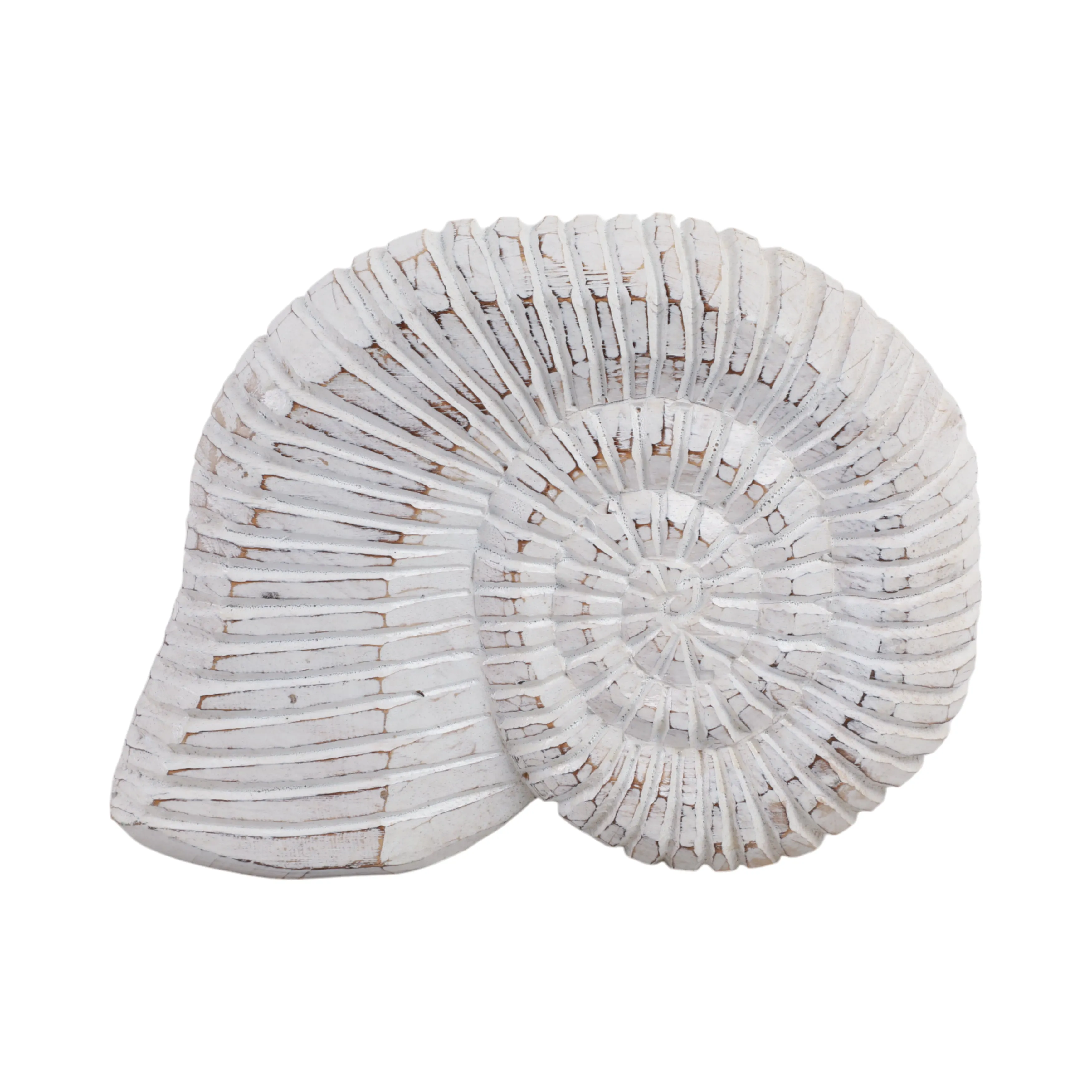 12" Wooden Snail Decor, Wht