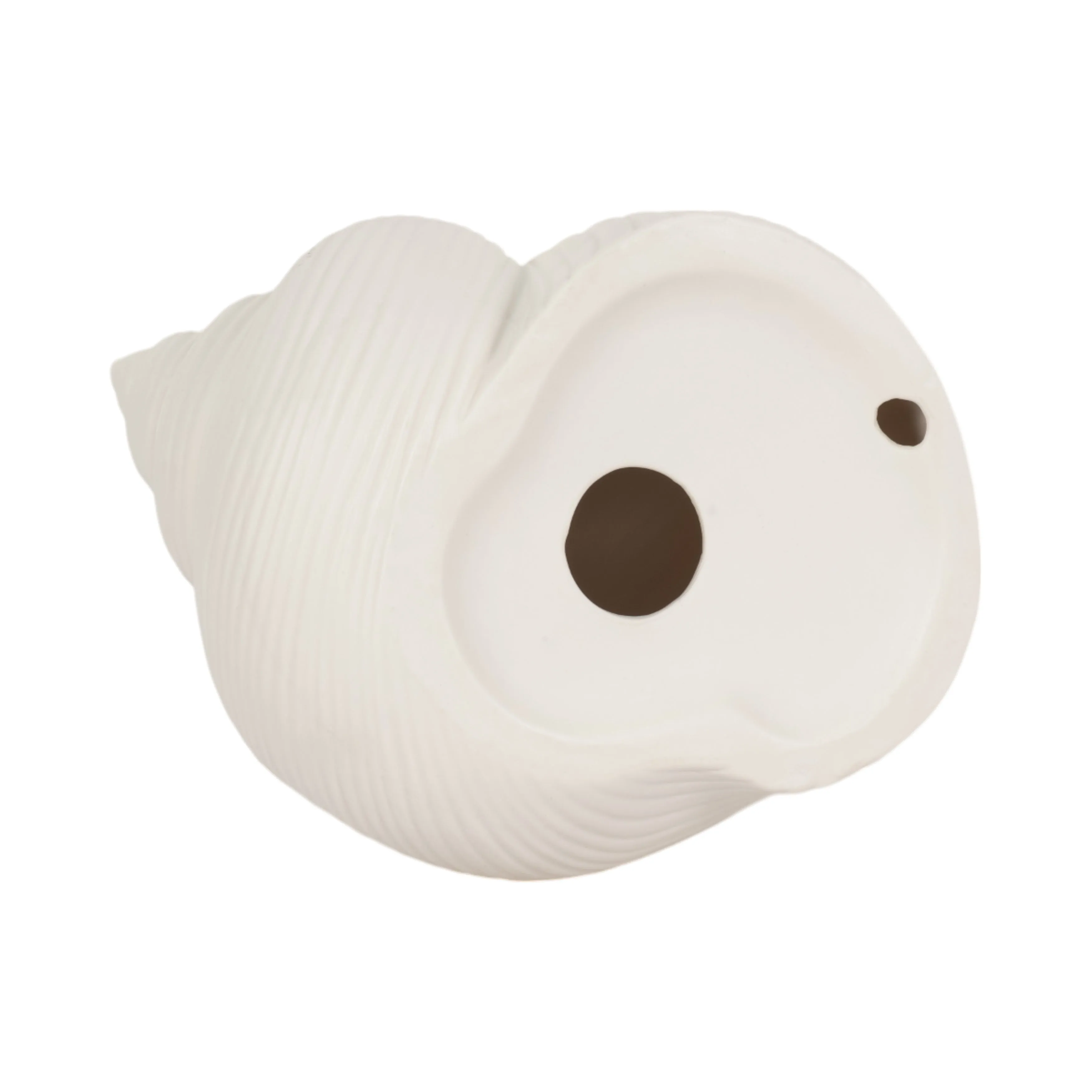 6" Bonnet Seashell, White