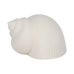 6" Bonnet Seashell, White
