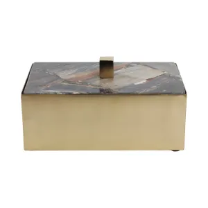 8x5" Petrified Wood Top Box, Black/gold