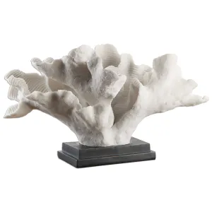 Blade Coral Sculpture