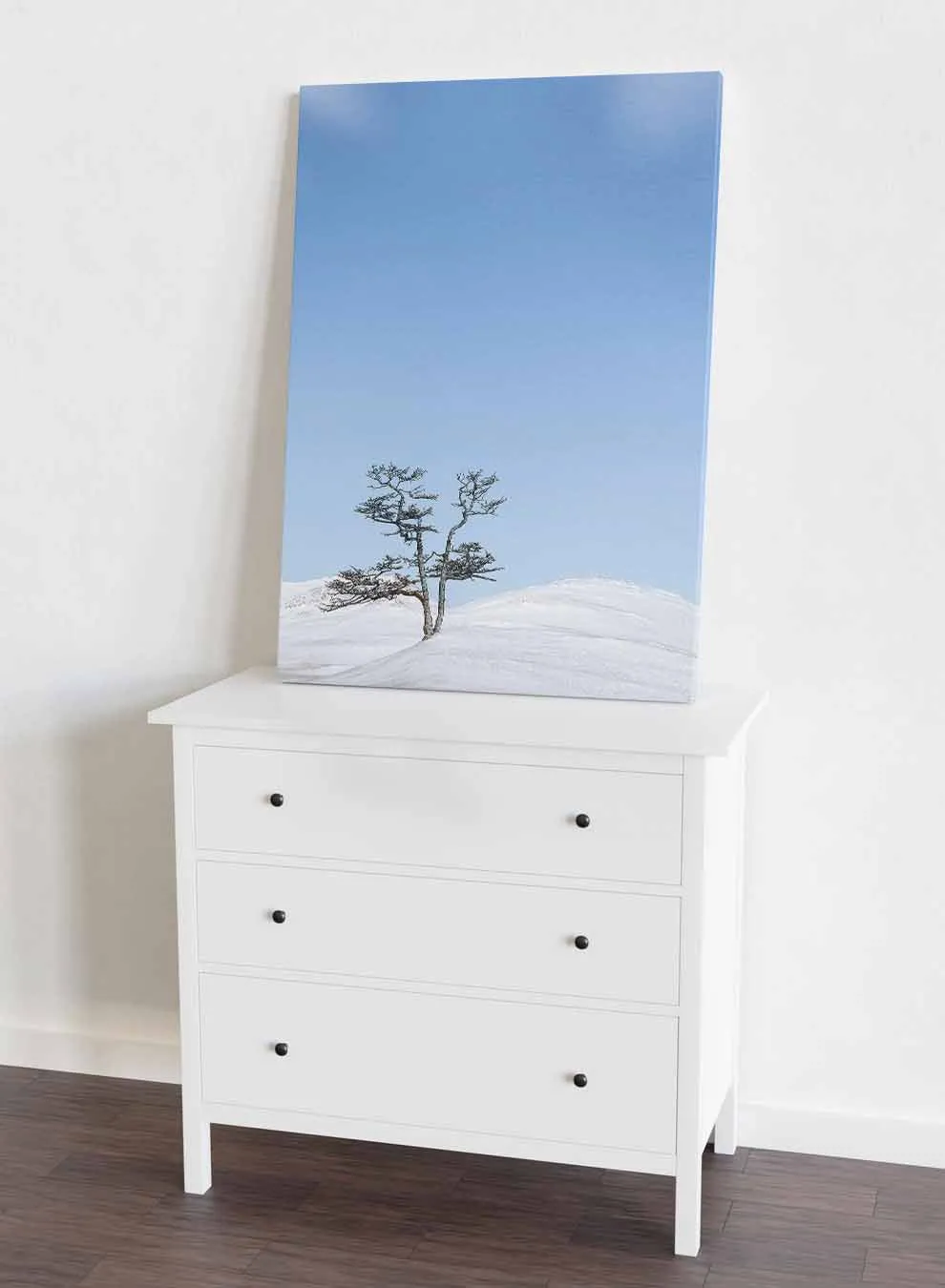 Canvas Wall Art Stretched Over Wooden Frame with Black Floating Frame