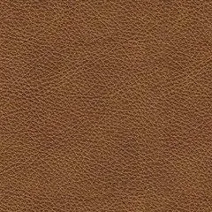 Carianna Sofa Sleeper