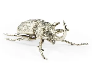 Curated Collection - White Brass Five-Horned Rhinoceros Beetle