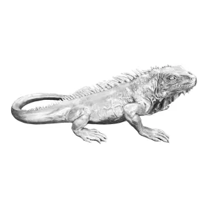 *Giant Iguana Statue