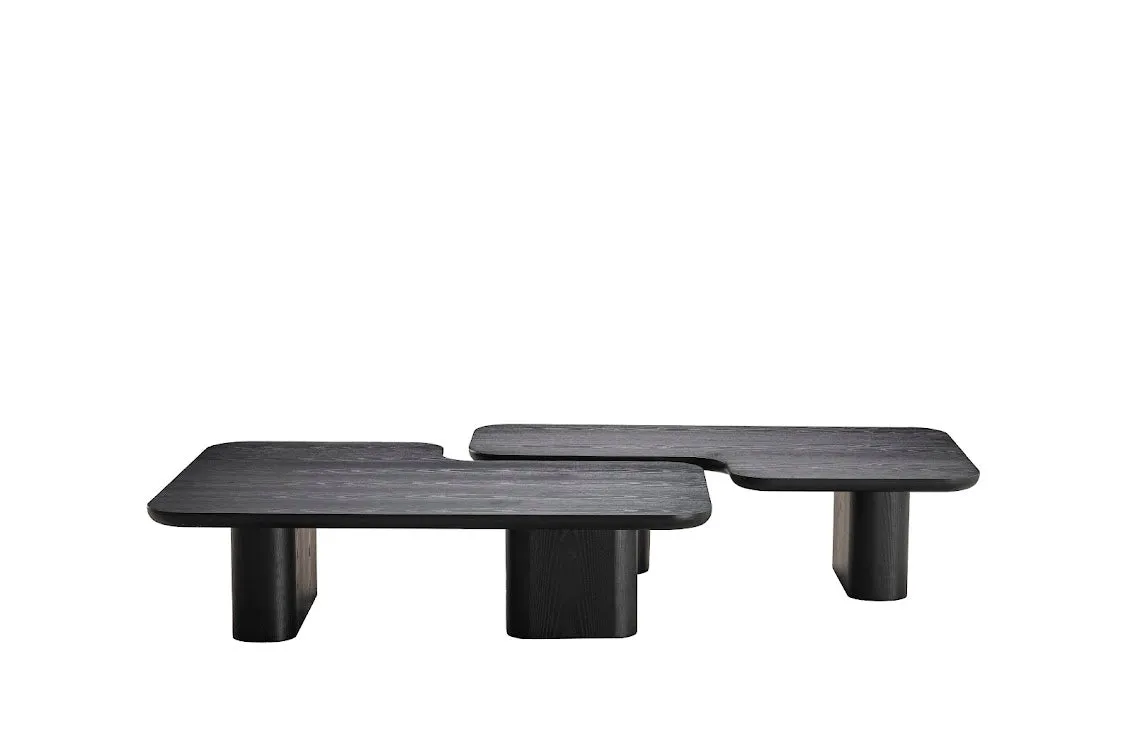 Moyn Coffee Table