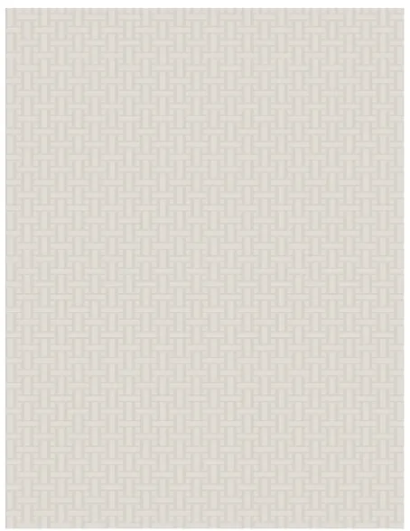 Rug 240*340 cm A62-9247
