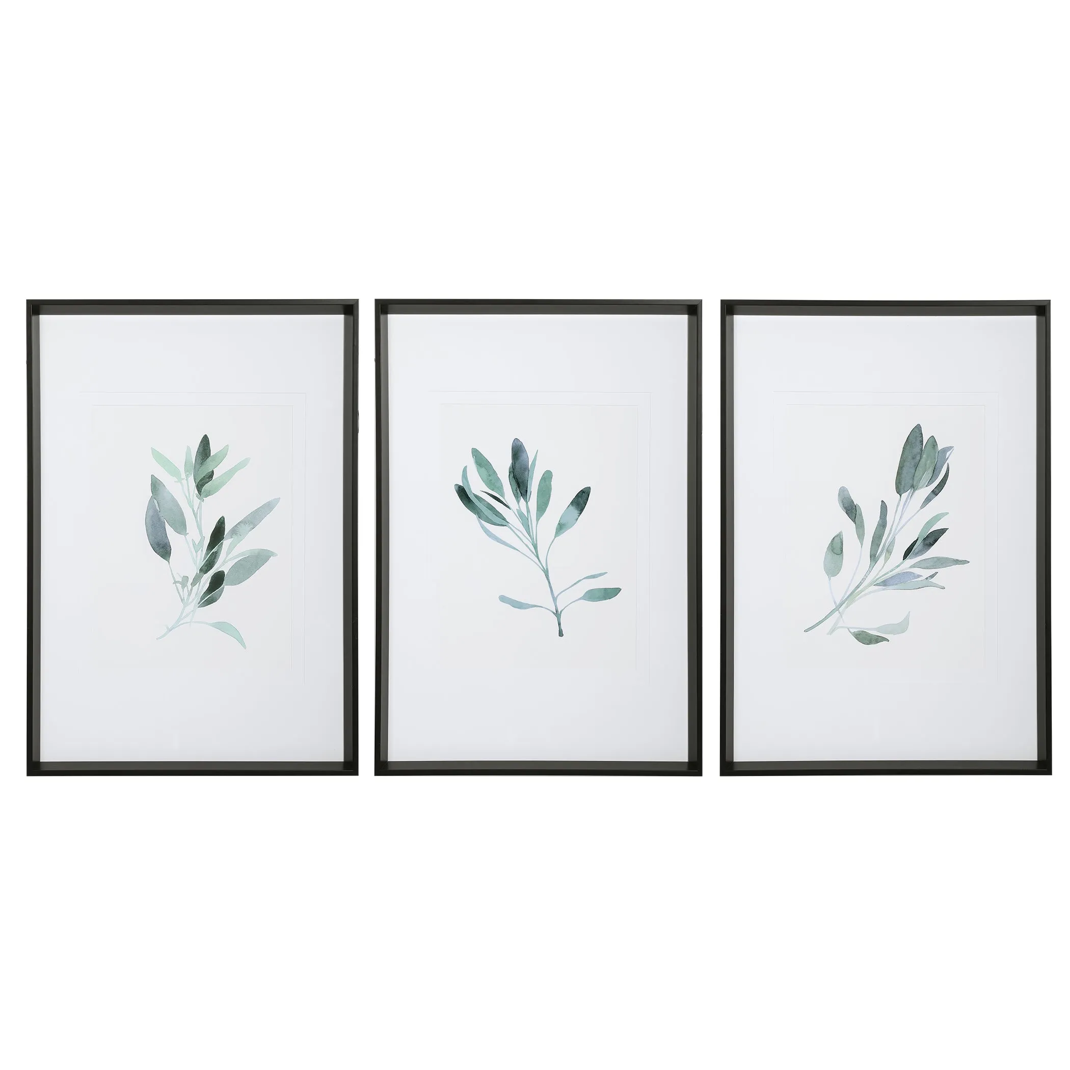 Simple Sage Framed Prints, S/3